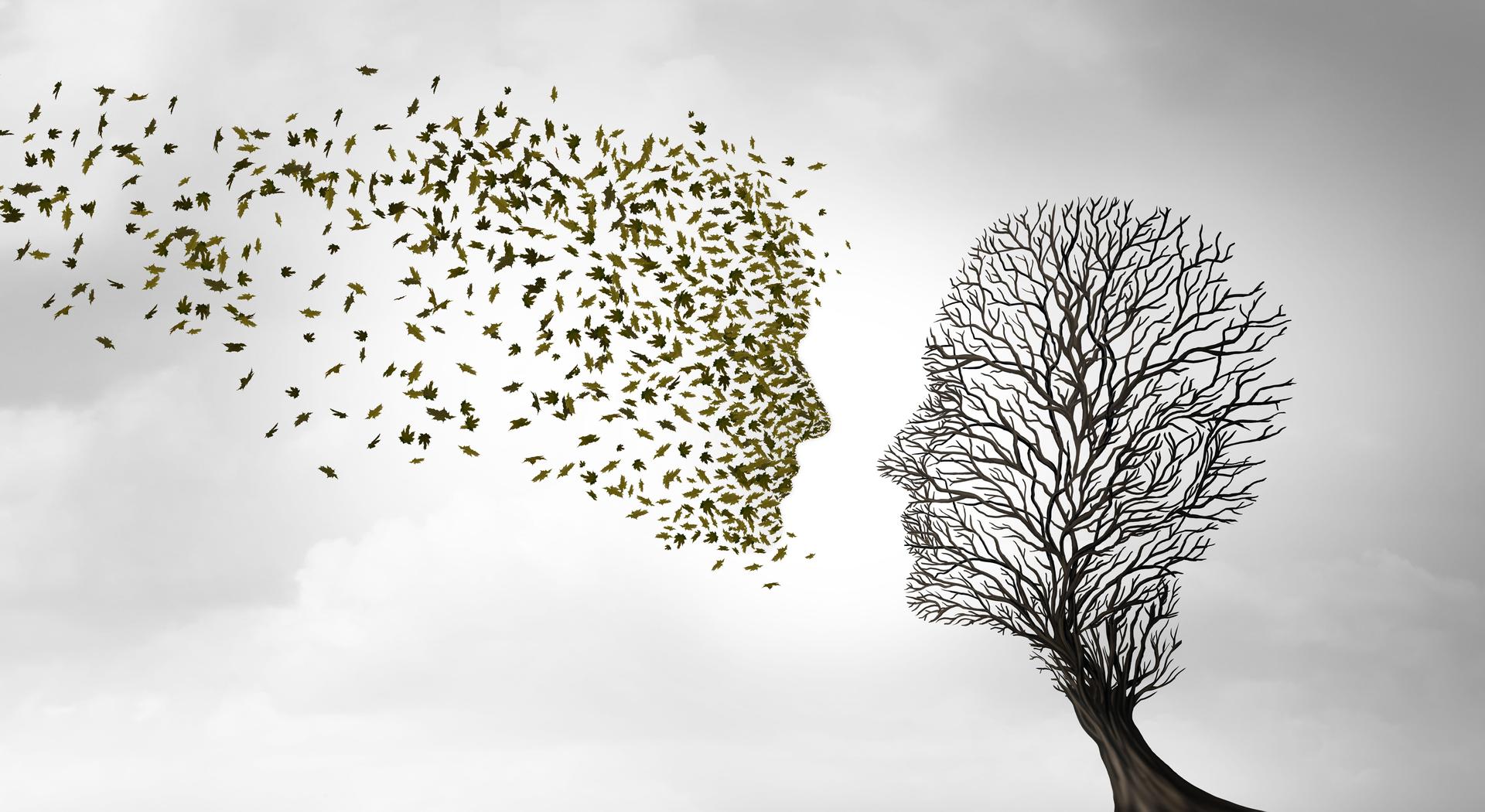 Emptiness And Renewal